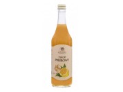SYROP IMBIROWY 500ML REMBOWSCY