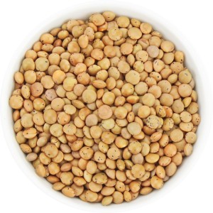 SOCZEWICA BRĄZOWA BIO (SUROWIEC) (25 kg)