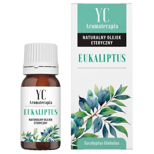 OLEJEK ETERYCZNY EUKALIPTUS 10 ml - YOUR CANDLE
