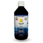 KONCENTRAT NAPOJU PROBIOTYCZNEGO OWOCE LASU BEZGLUTENOWY BIO 500 ml - JOY DAY