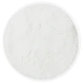 MARANTA (SKROBIA Z KORZENIA) BEZGLUTENOWA BIO 800 g - HORECA (TERRASANA)