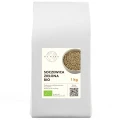 SOCZEWICA ZIELONA BIO 1 kg - THE PLANET