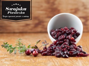 Żurawina Suszona Cięta [HURT] - 11,34 kg